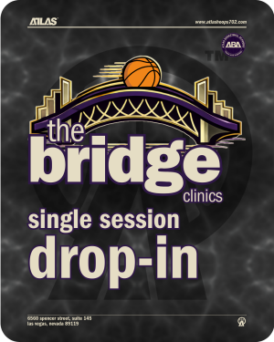 'the bridge' clinic | single session